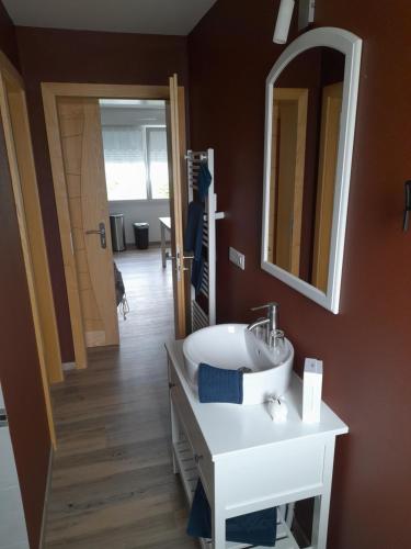 a bathroom with a white sink and a mirror at Au fil du bois in Contrexéville
