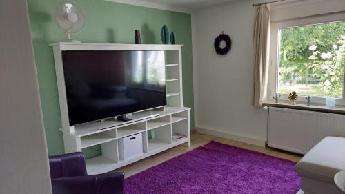 a living room with a flat screen tv on a white entertainment center at Haus Emmerblick in Schieder-Schwalenberg