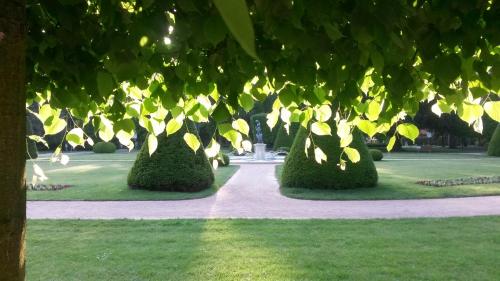 a row of bushes in a park with a walkway at Apartmá v srdci Poděbrad in Poděbrady