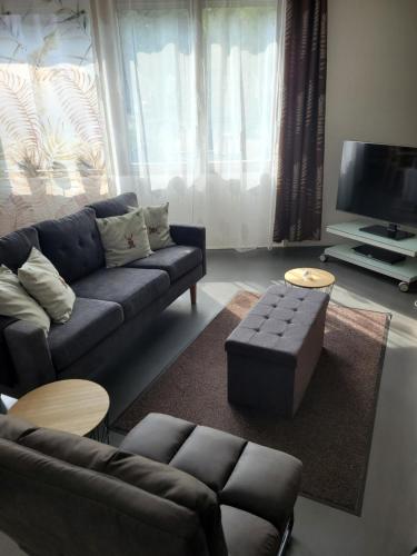 a living room with a couch and a tv at Ferienwohnung Burgblick in Wiesbaden