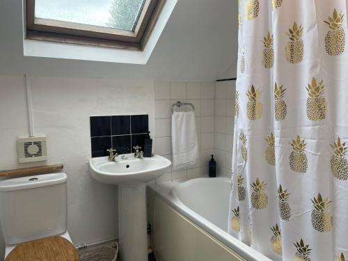 a bathroom with a sink and a shower curtain at Cheltenham Road One Bedroom Apartment in Bristol