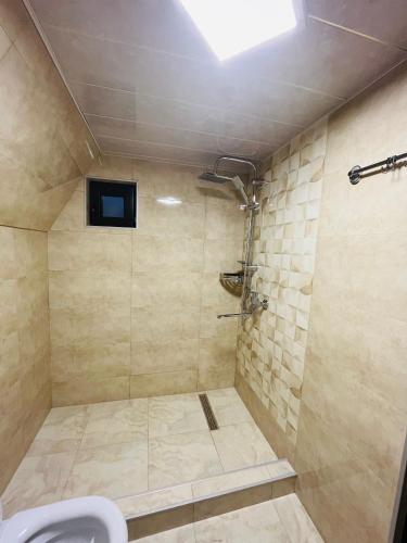 a bathroom with a shower with a toilet and a television at Cottage Carpe Diem in Stepantsminda