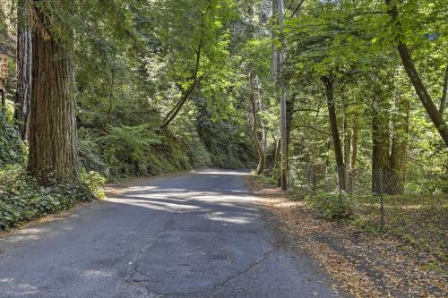 a road in the middle of a forest with trees at Tranquil Guerneville Home with Redwood Views in Guerneville