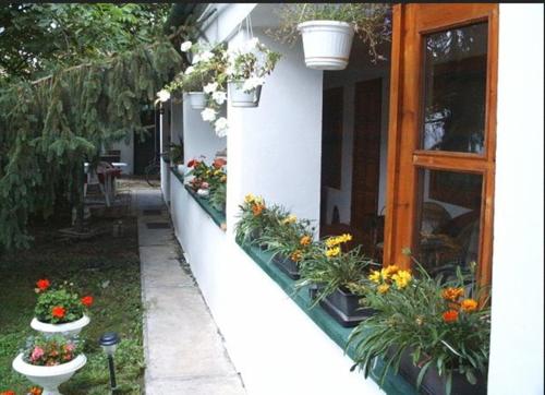 a house with flowers on the side of it at Vali Vendégház in Gyula
