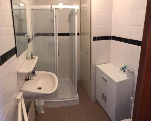a bathroom with a shower and a sink and a toilet at Landgoed Swaensborgh in Oudesluis