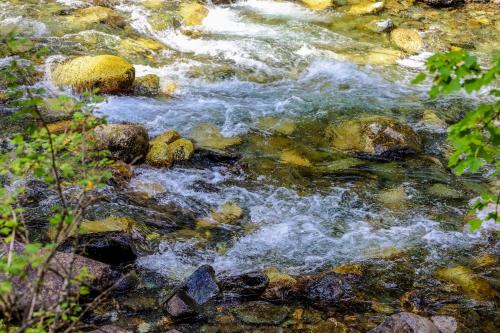 Chinook Lake – Photos 4