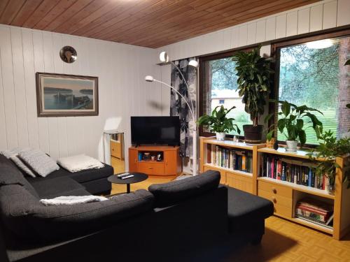 a living room with a couch and a tv at Holiday House Mäntyniemi in Hossa