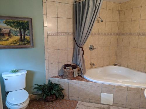 Lizard Creek Inn في Andreas: حمام مع مرحاض وحوض استحمام