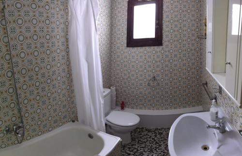 La salle de bains est pourvue de toilettes, d'un lavabo et d'une douche. dans l'établissement Ca Sanchis, piso en el casco antiguo, à Xàtiva