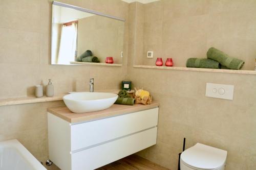 a bathroom with a sink and a toilet and a mirror at Private Villa "San Servolo House" with sea view and private pool in Buje