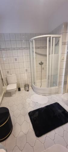 a bathroom with a shower and a black rug at Apartamenty Włocławek in Włocławek