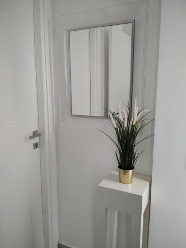 Terra Mia Suite photo 23