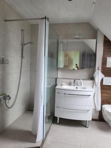 a bathroom with a shower and a sink and a mirror at Exklusivwohnung Bad Dürrenberg in Bad Dürrenberg