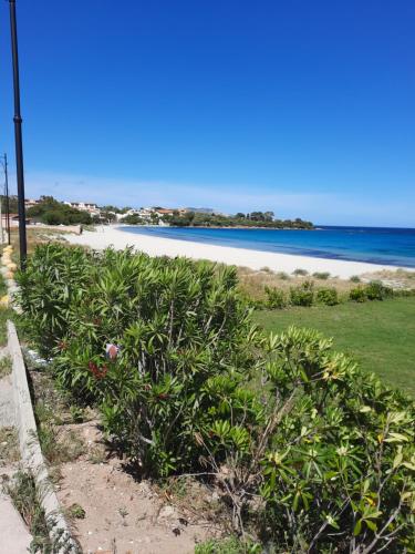 a beach with a bunch of plants and the ocean at Relax al Mare in Olbia