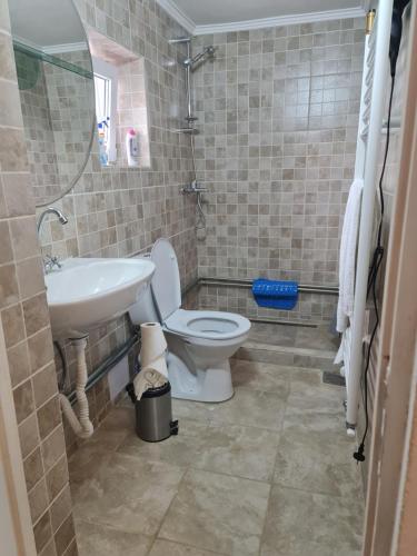 La salle de bains est pourvue de toilettes et d'un lavabo. dans l'établissement Hobby Vendégház, à Kiskunmajsa