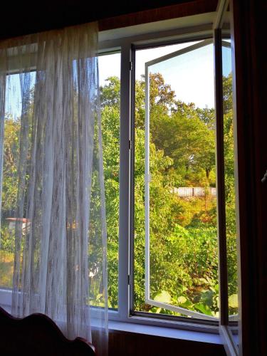 a window with white curtains and a view of trees at Vaso's Guesthouse in Katsʼkhi