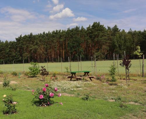 einen Picknicktisch inmitten eines Feldes mit Blumen in der Unterkunft Zielona Przystań in Boruja