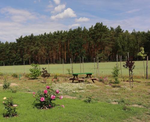 a picnic table in the middle of a field with flowers at Zielona Przystań in Boruja