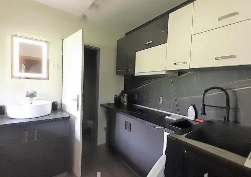 uma cozinha com armários a preto e branco e um lavatório em Lipno Pearl em Lipno nad Vltavou