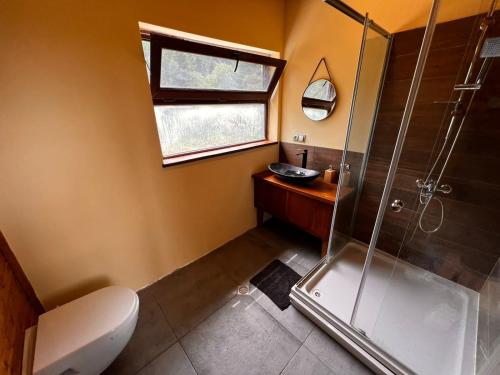 a bathroom with a shower and a toilet and a sink at Wild Escape Racha in Ambrolauri