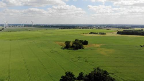 Naturlandschaft in der Nähe der Ferienwohnung