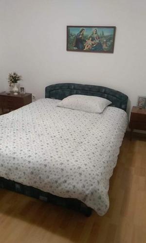 a bedroom with a bed and a picture on the wall at Apartman MARA in Šestanovac