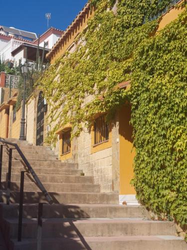 Alojamiento Marbella