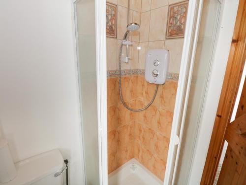 a bathroom with a shower and a toilet at Toms Cottage in Westport