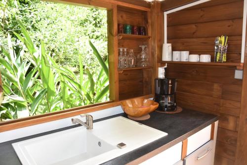 a kitchen with a sink and a window at Insolite Arawakane Gîtes du Manial in Pointe-Noire