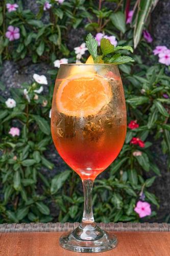 a drink in a glass with an orange slice in it at Hotel Boutique El Carmel in Villa de Leyva