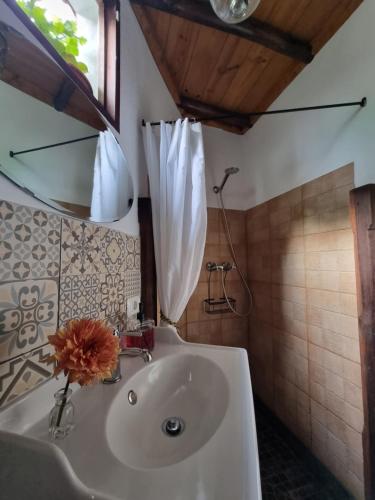 a bathroom with a sink with a flower on it at Casa Fuente Hervera in Vega de San Mateo