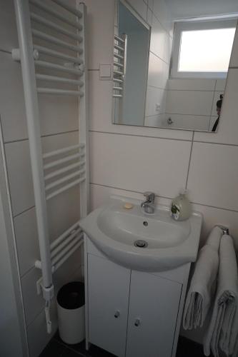 uma casa de banho com um lavatório e um espelho em Neue und zentral gelegene Wohnung in Stuttgart em Stuttgart