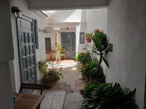 Nice appartment in center of old town Tarifa