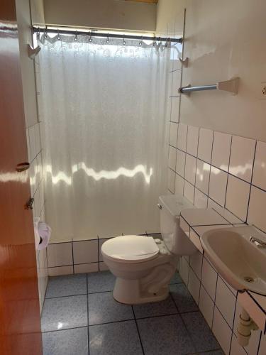 a bathroom with a toilet and a shower and a sink at Hostal El Amigo in Paracas