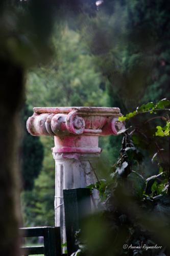 a pink fire hydrant sitting next to a bush at Hotel Monti in Lamporecchio