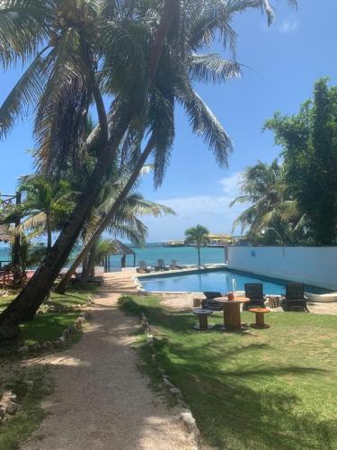 a park with palm trees and a swimming pool at Casa CARIBE Cancun in Cancún