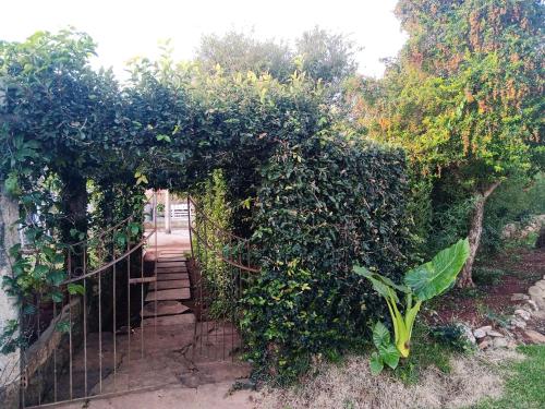 een tuinpoort met een omheining met klimop bij Pousada Belvedere in Tibagi