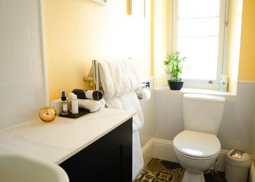 a bathroom with a toilet and a sink at Gresham Court in Torquay