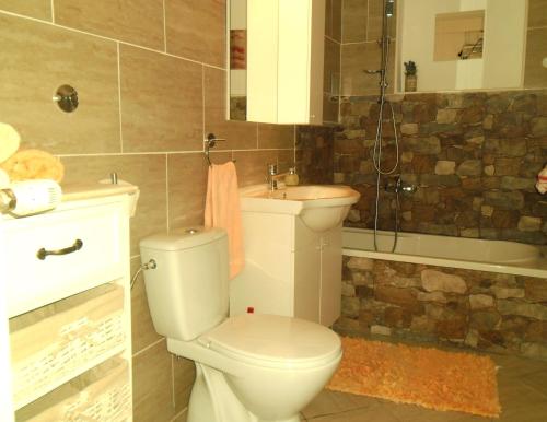a bathroom with a toilet and a sink at Apartments with WiFi Opric, Opatija - 7756 in Lovran