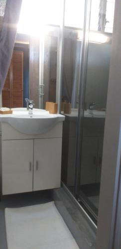 ein Bad mit einem Waschbecken, einer Dusche und einem Spiegel in der Unterkunft Résidence CARAÏBEA in Sainte-Luce