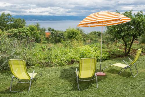 Příroda nedaleko apartmánu