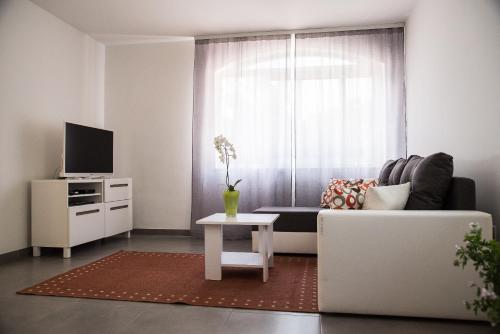 TV a/nebo společenská místnost v ubytování Apartments with a parking space Opric, Opatija - 7726