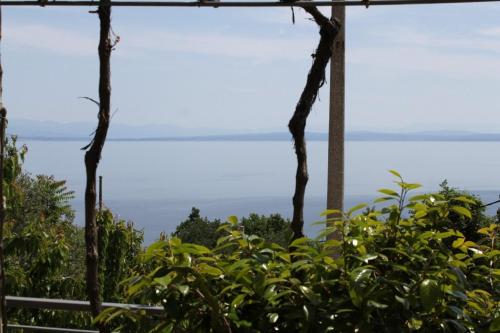 a view of the ocean from a tree at Apartments with a parking space Medveja, Opatija - 7721 in Medveja
