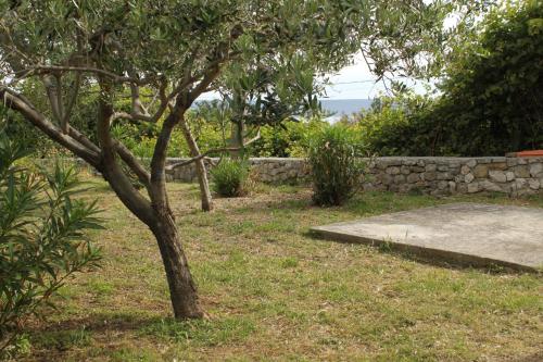 a tree in a yard next to a stone wall at Holiday house with a parking space Sveti Jakov, Losinj - 7950 in Nerezine
