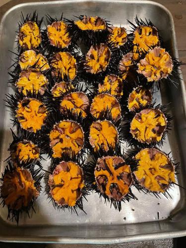 a tray of cupcakes with orange frosting on it at Vilas na areia aparthotel in Sal Rei