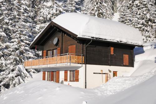 Imagen de la galería de Favorite Parterre, en Riederalp