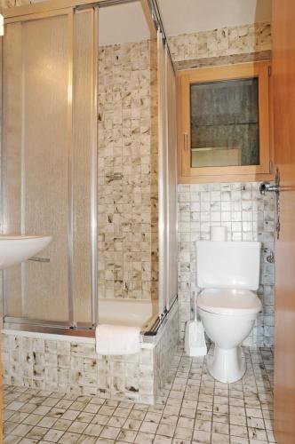a bathroom with a toilet and a shower and a sink at Favorite Parterre in Riederalp