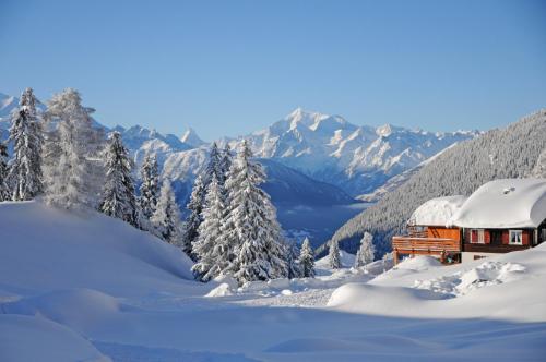 Imagen de la galería de Favorite Parterre, en Riederalp