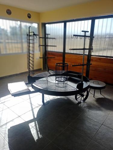 MOLLAR SALTA – Photos 2