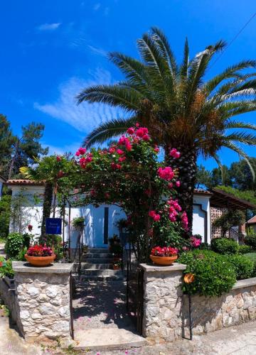 Zahrada ubytování Apartments by the sea Artatore, Losinj - 8020
